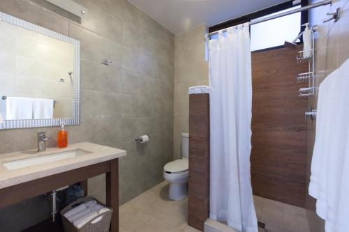 a bathroom with a toilet and a sink and a shower at Departamentos San José in La Paz
