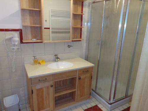 W łazience znajduje się umywalka i prysznic. w obiekcie Gasthof Unterberger w mieście Sankt Kathrein am Offenegg