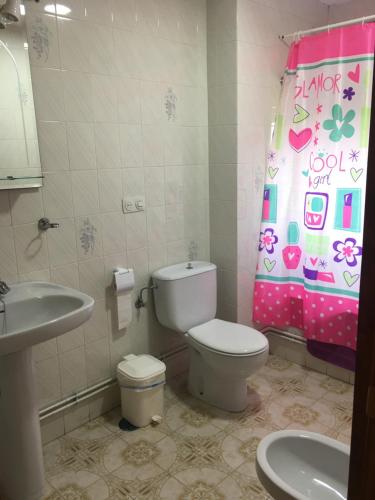 La salle de bains est pourvue de toilettes, d'un lavabo et d'un rideau de douche. dans l'établissement Casa Sanabresa, à Galende