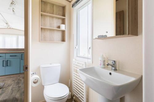 a bathroom with a white toilet and a sink at Duckling View in South Cerney