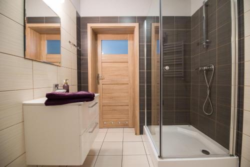 a bathroom with a shower and a sink and a tub at Parkowa 13 in Szczecin