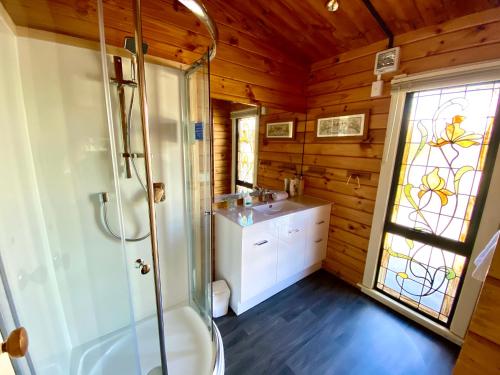 a bathroom with a shower and a toilet and a sink at Lockwood on Aorangi in Lake Tekapo