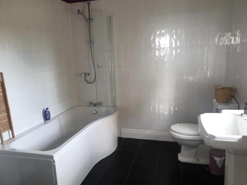 A bathroom at Low Gingerfield Farm B&B 