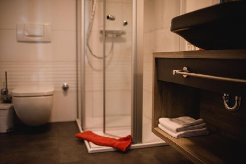 a bathroom with a shower and a toilet at Weingut und Gästehaus Zilliken in Nittel
