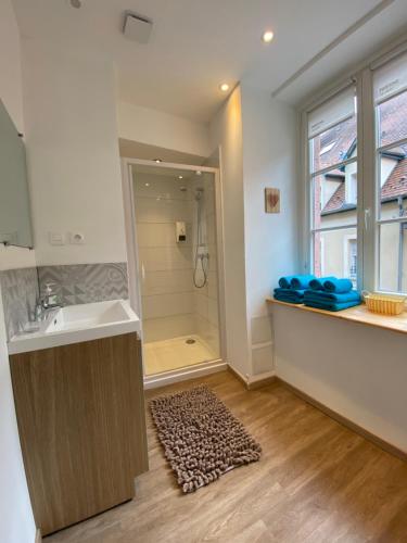 Ένα μπάνιο στο L'Ours de Colmar - Appartements en centre ville