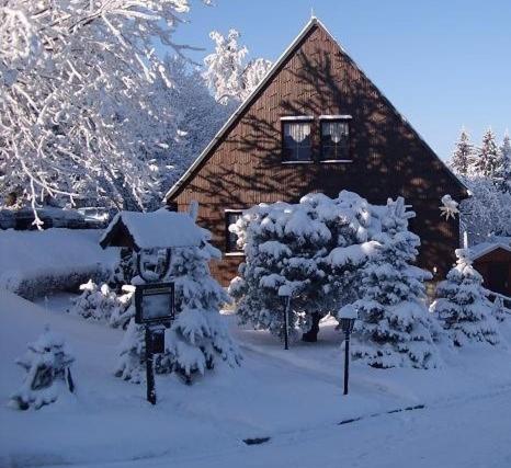ein Blockhaus mit schneebedeckten Bäumen davor in der Unterkunft Ferienwohnung Heinrich in Kurort Altenberg