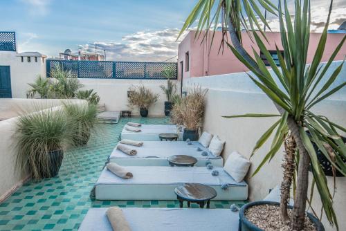 a row of beds on a patio with a palm tree at Riad Spa Sindibad in Marrakesh