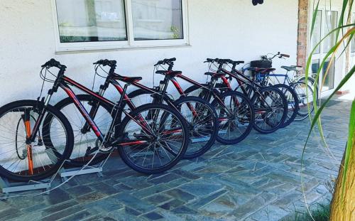 Villa dos Corcéis tesisinde veya etrafında bisiklete binme