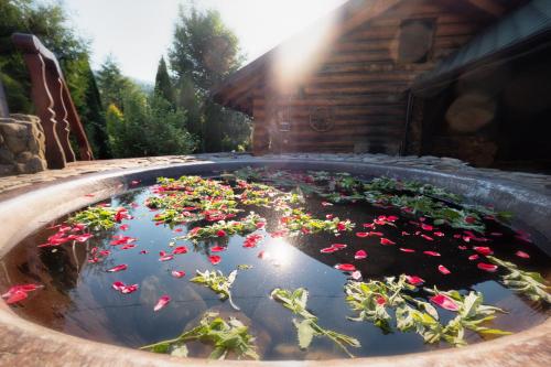 SPA Hotel Zhyva Vodaにある庭