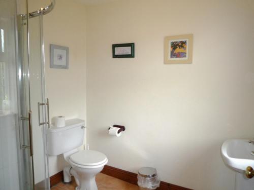 a bathroom with a toilet and a sink at Stone Cottage Kenmare by Trident Holiday Homes in Kenmare