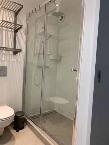 a glass shower in a bathroom with a toilet at Les Terrasses de Malmedy 22 Studio 341 in Malmedy
