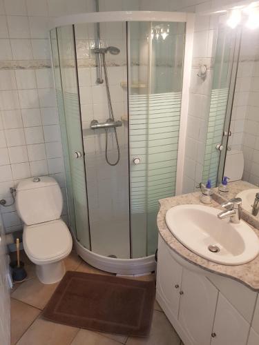 une salle de bain avec une douche, des toilettes et un lavabo dans l'établissement Le Pin Doré, à Antibes