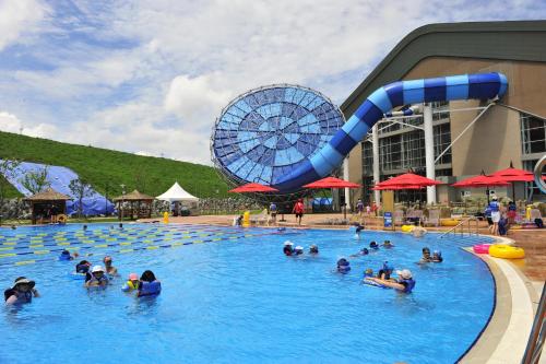 平昌的住宿－平昌郡阿爾卑希亞假日套房酒店，一群人在带水滑梯的游泳池里