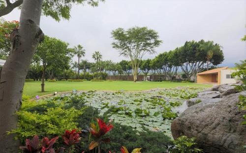 a garden with flowers and a field of grass at Alilo by Muuk in Tepoztlán