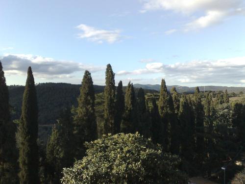 a group of trees in a field with a sky at Locanda nel Cassero in Civitella Marittima