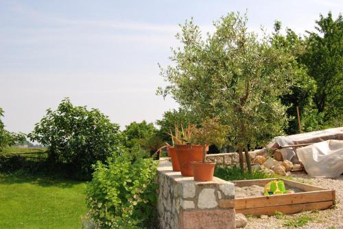 a garden with trees and plants on a stone wall at Monte Grappa Guest House in Romano D'Ezzelino