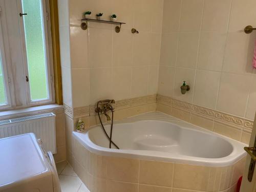 a bath tub with a shower in a bathroom at Dream appartment for a nice holiday with a bedroom and living room! in Mariánské Lázně