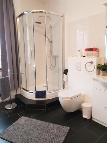 a bathroom with a shower and a toilet at Ferienwohnung "Im Türmchen" inklusive WLAN, Parkplatz und Netflix in Schleiden