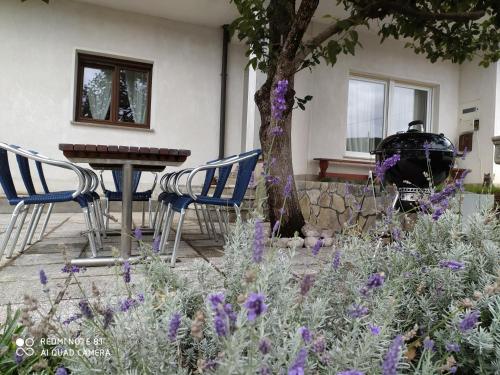 un patio con sillas y una mesa con flores púrpuras en Entoli Apartment, en Podnanos