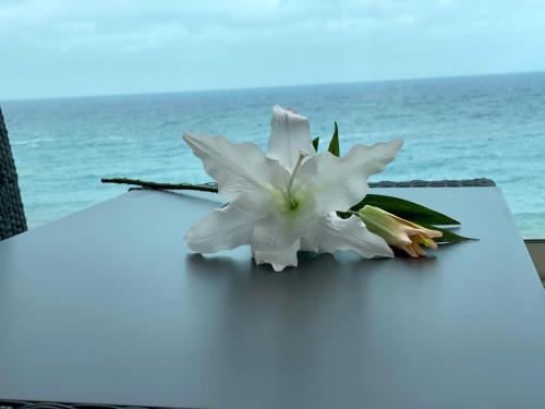 Hermoso Edificio Frente al Mar, a pie de Playa y hermosas vistas