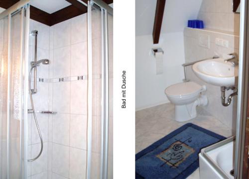 a bathroom with a shower and a sink and a toilet at Ferienhaus Bayern in Siegsdorf