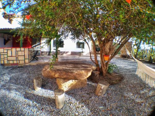 un banco de piedra sentado junto a un árbol en RAPSoDIA HOSTEL, en Villa de Leyva