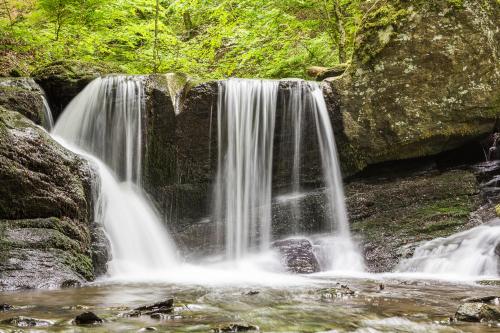 a waterfall in the middle of a forest at Landgasthof Hieren Mühle in Ney