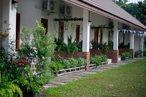 a house with a row of plants in front of it at CoZy House Chiangrai in Chiang Rai