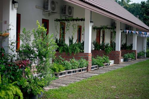 a house with a row of plants in front of it at CoZyHouseChiangrai in Chiang Rai