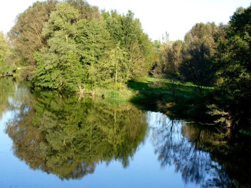 a river with trees reflecting in the water at Gut Schwarz-n Hof Ferienwohnungen in Bad Griesbach