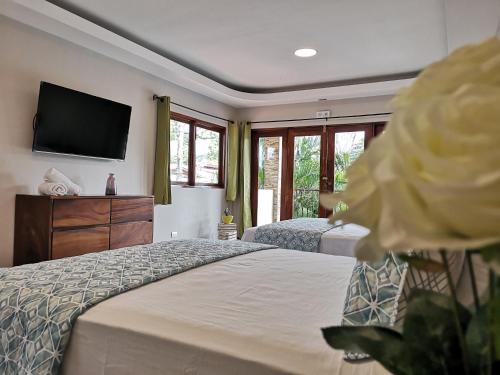 1 Schlafzimmer mit 2 Betten und einem TV an der Wand in der Unterkunft Hotel Amira in Carrillo