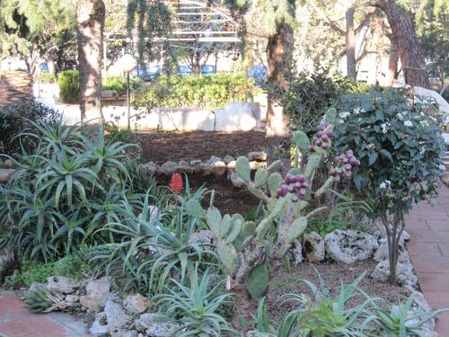 Jardín al aire libre en Santos B&B