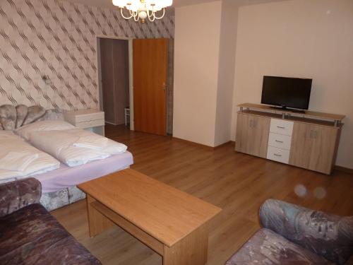 a living room with a bed and a flat screen tv at Penzion Holiday in Mariánské Lázně