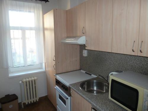 a small kitchen with a sink and a microwave at Penzion Holiday in Mariánské Lázně