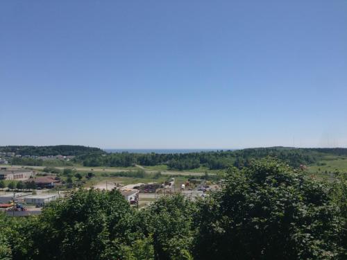 a view of a town from behind some trees at Hillside Motel in Saint John