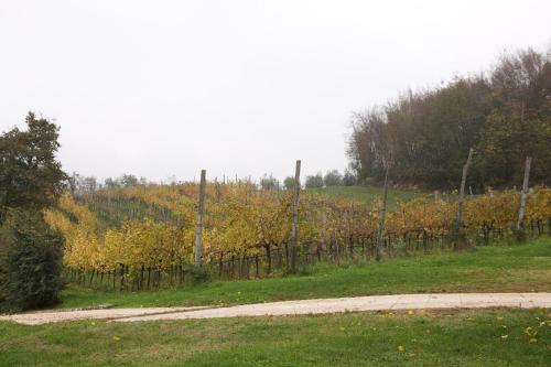 a fence in a field next to a dirt road at Agriturismo Marani in Arcugnano