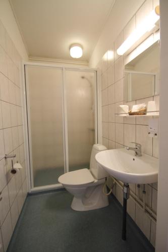 a bathroom with a toilet and a shower and a sink at Igdlo Guesthouse in Narsaq