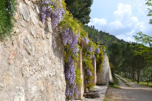 a stone wall with purple flowers on it at Agriturismo Istrice Innamorato in Campello sul Clitunno