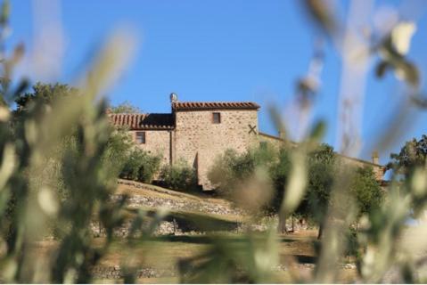 Fattoria La Pieve – Photos 3