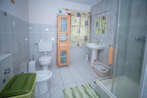 a bathroom with a toilet and a sink and a shower at ZSUZSI-LAK in Sub Cetate