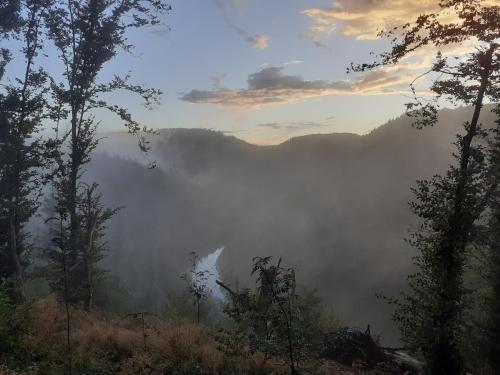 a view of a foggy forest with trees at Le Refuge d'Engreux in Houffalize