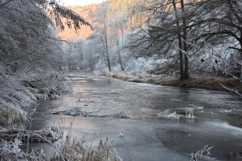a river with snow on the branches of trees at Le Refuge d'Engreux in Houffalize