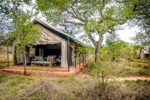 una piccola tenda in mezzo a un campo di Honeyguide Tented Safari Camp - Khoka Moya a Riserva di Caccia Manyeleti