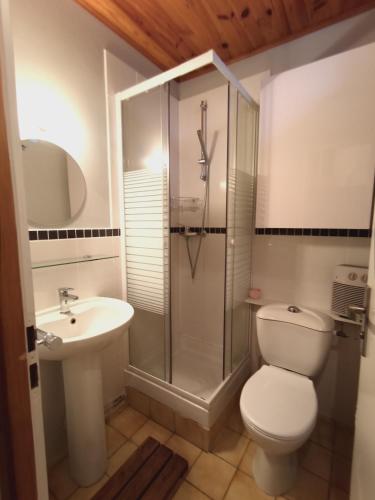 une salle de bain avec une douche, des toilettes et un lavabo dans l'établissement La guérite du Locum, à Meillerie