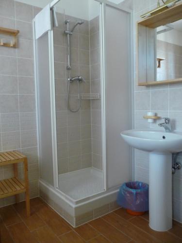 La salle de bains est pourvue d'une douche et d'un lavabo. dans l'établissement Villa Patrizia, à San Canzian dʼlsonzo