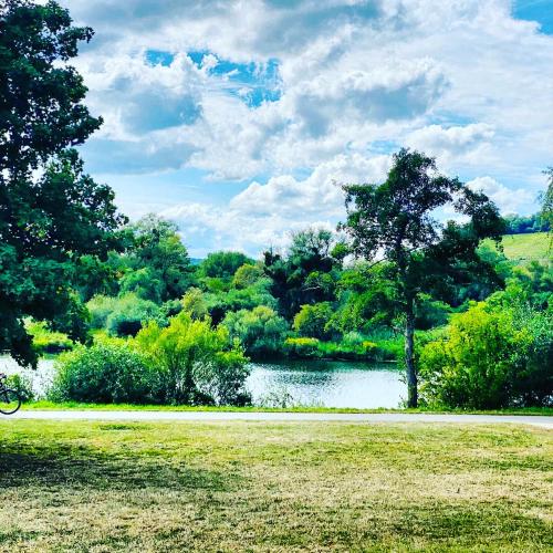 a park with a lake and a tree next to a field at Ferienhaus No. 4 in Perl