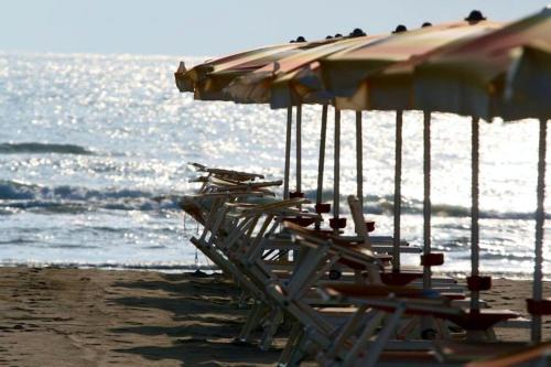 Fotografie z fotogalerie ubytování Hotel Sedonia v destinaci Cervia