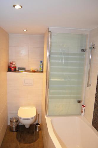a bathroom with a shower and a toilet and a tub at Ferienhaus Köhler in Marienberg