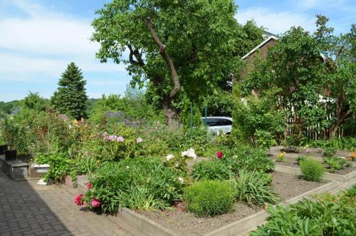 a garden with many different flowers and plants at Ferienhaus Köhler in Marienberg