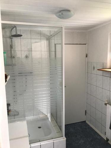 a bathroom with a shower with a glass door at Ferienhaus Ronny in Hinte